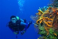 Open a Diving School in Thailand